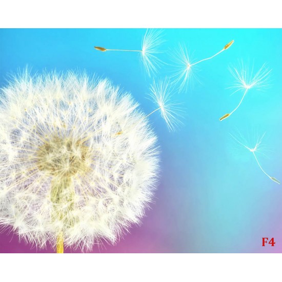 Wall mural white dandelion with colorful multi color background Wall mural white dandelion with colorful multi color background
