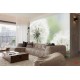 Wall mural delicate white dandelions Wall mural delicate white dandelions