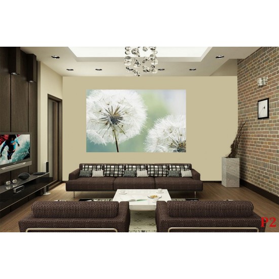 Wall mural delicate white dandelions Wall mural delicate white dandelions