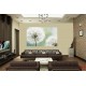 Wall mural delicate white dandelions Wall mural delicate white dandelions