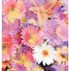 Photo mural soft bouquet of colorful flowers Photo mural soft bouquet of colorful flowers