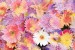Photo mural soft bouquet of colorful flowers