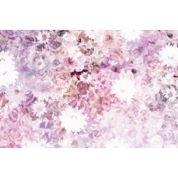 Wallpapers fairy of colorful flowers