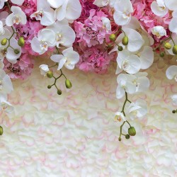 Wallpapers a wall of tender petals with a crown of orchids