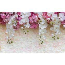 Wallpapers a wall of tender petals with a crown of orchids