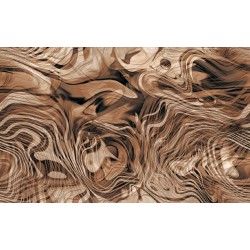 Wallpapers mural abstract meanders in  2 colors