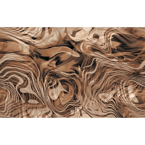 Wallpapers mural abstract meanders in 2 colors Wallpapers mural abstract meanders in 2 colors