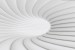 Photo murals white-gray spiral