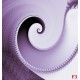 Wallpapers mural elegant spiral in color violet Wallpapers mural elegant spiral in color violet