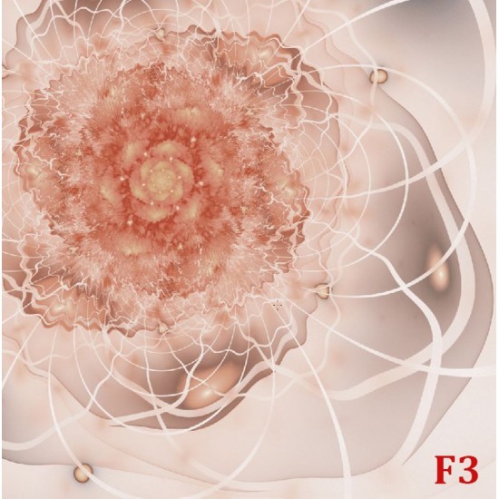 Wall mural abstract flower in colorful beige