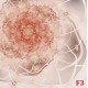 Wall mural abstract flower in colorful beige