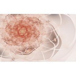 Wall mural abstract flower in colorful beige