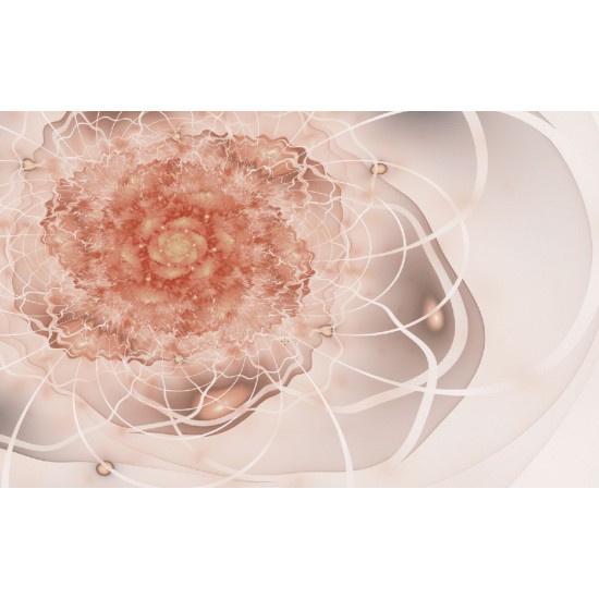Wall mural abstract flower in colorful beige