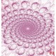 Wall murals abstract fan in pink Wall murals abstract fan in pink