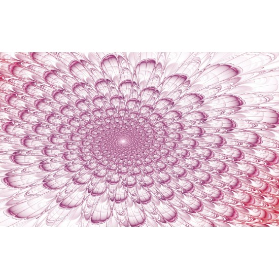 Wall murals abstract fan in pink Wall murals abstract fan in pink