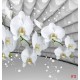Wallpapers white orchid grey tunnel with bubbles