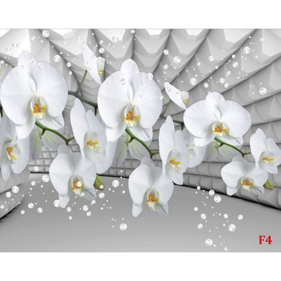 Wallpapers white orchid grey tunnel with bubbles