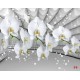 Wallpapers white orchid grey tunnel with bubbles