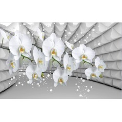 Wallpapers white orchid grey tunnel with bubbles