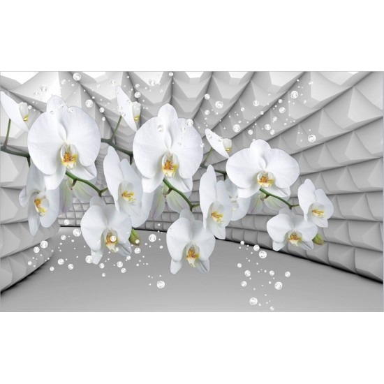 Wallpapers white orchid grey tunnel with bubbles