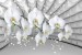 Wallpapers white orchid grey tunnel with bubbles