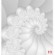 Photo mural effective white spiral with floral ornaments Photo mural effective white spiral with floral ornaments