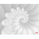 Photo mural effective white spiral with floral ornaments Photo mural effective white spiral with floral ornaments