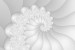 Photo mural effective white spiral with floral ornaments