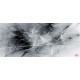 Wallpapers mural black and white smoke Wallpapers mural black and white smoke