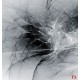 Wallpapers mural black and white smoke Wallpapers mural black and white smoke