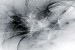 Wallpapers mural black and white smoke