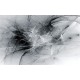 Wallpapers mural black and white smoke Wallpapers mural black and white smoke