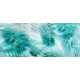 Wallpapers mural feathers in turquoise