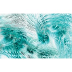 Wallpapers mural feathers in turquoise Wallpapers mural feathers in turquoise
