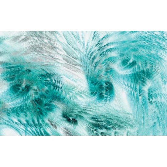 Wallpapers mural feathers in turquoise
