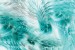 Wallpapers mural feathers in turquoise