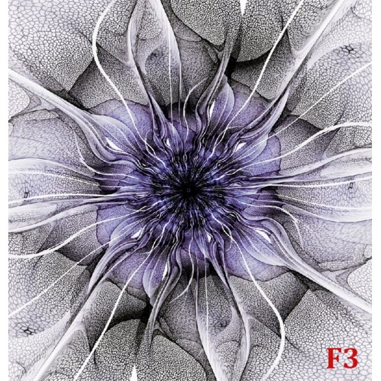 Wallpapers mural flower nets in purple