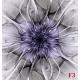 Wallpapers mural flower nets in purple