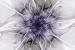 Wallpapers mural flower nets in purple