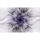Wallpapers mural flower nets in purple