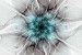 Wallpapers mural flower nets in turquoise