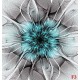 Wallpapers mural flower nets in turquoise Wallpapers mural flower nets in turquoise