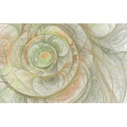 Photo murals gentle spiral type of snail in 2 colors
