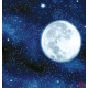 Wall mural view of the planet earth and night sky Wall mural view of the planet earth and night sky
