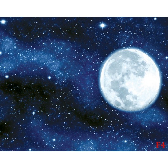 Wall mural view of the planet earth and night sky Wall mural view of the planet earth and night sky