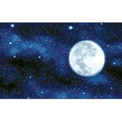 Wall mural view of the planet earth and night sky