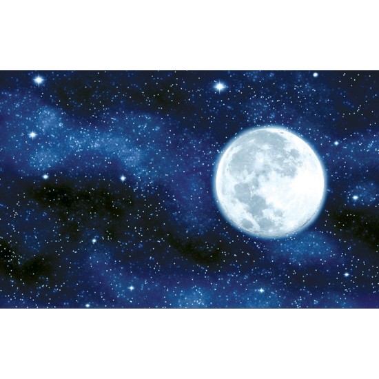 Wall mural view of the planet earth and night sky Wall mural view of the planet earth and night sky