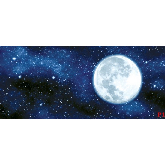 Wall mural view of the planet earth and night sky Wall mural view of the planet earth and night sky