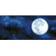 Wall mural view of the planet earth and night sky Wall mural view of the planet earth and night sky