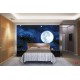 Wall mural view of the planet earth and night sky Wall mural view of the planet earth and night sky